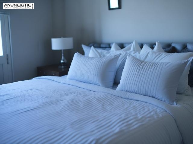 Master Guest Menorca - gesti&oacute;n de alojamientos tur&iacute;sticos 