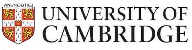 MAESTRA DE INGL&Eacute;S EXAMINADORA DE CAMBRIDGE