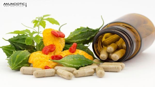 Taller de Suplementaci&oacute;n con sustancias Naturales en Vipassana