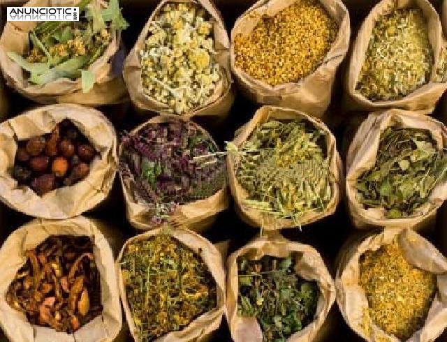 Taller de Suplementaci&oacute;n Tradicional en Vipassana