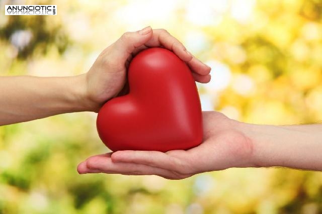 Taller de Conexi&oacute;n con el Coraz&oacute;n en Vipassana