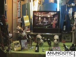  Centro de formaci&oacute;n de cocineros/ras