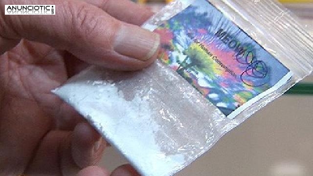 coca&iacute;na, LSD, MDMA, burundanga, ketamine, mefedrona en venta.