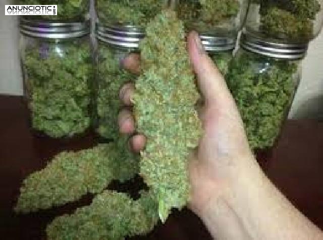 calidad ketamina, mefedrona, coca&iacute;na y mdma en venta