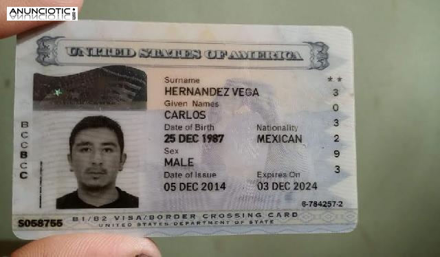			Compre licencias de conducir espa&ntilde;ol, tarjetas de identificaci&oacute;n, IELTS 