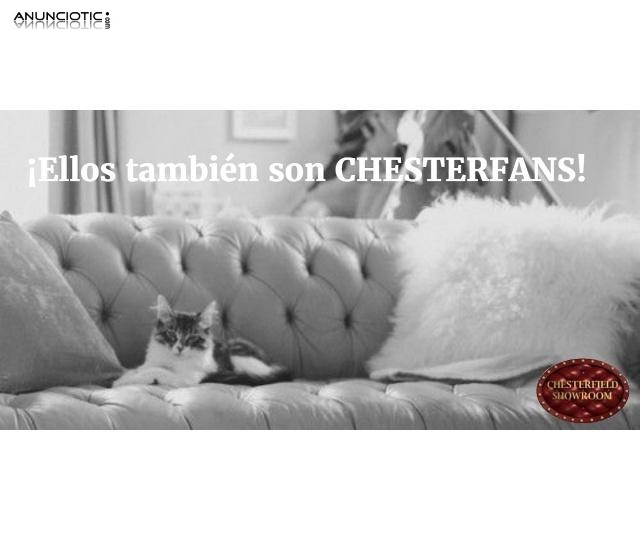 As&iacute; son los sof&aacute;s chester