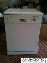VENDO LAVAVAJILLAS 100 � 