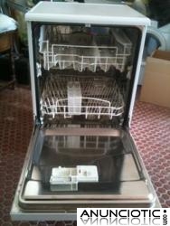 VENDO LAVAVAJILLAS 100 � 