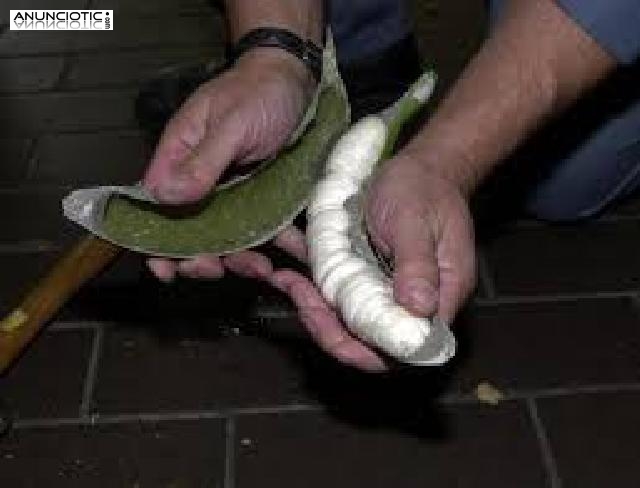 burundanga, mefedrona lsd, mdma, coca&iacute;na y otros productos investigados par