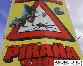 CIRCO PIRA&Ntilde;A SHOW EN PARETS DEL VALLES