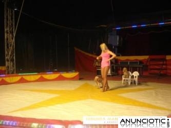 PIRA&Ntilde;A SHOW CIRCO EN VILASAR DE DALT