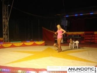 CASTELLTER&Ccedil;OL GRAN CIRCO PIRA&Ntilde;A SHOW 