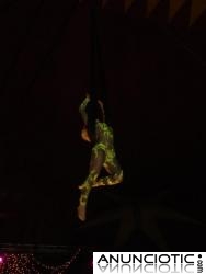 CIRCUS ALEX ZAVATTA MARINA D�OR CASTELLON 