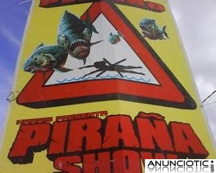 CIRCO PIRA&Ntilde;A SHOW EN  BARCELONA