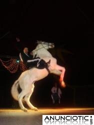 CIRCO ALEX ZAVATTA EN PALAU-SOLIT&Agrave; I PLEGAMANS RECINTO FERIAL