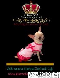 Comprar Ropa Perros Peque&Atilde;&plusmn;os