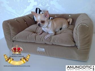 Camas para perros peque&Atilde;&plusmn;os, un lujo