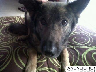 NECESITAMOS URGENTEMENTE ADOPCI&Oacute;N PARA RUBI