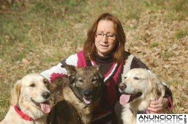 NECESITAMOS URGENTEMENTE ADOPCI&Oacute;N PARA RUBI