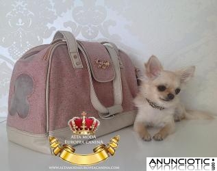 Bolsos de Lujo para perros peque&Atilde;&plusmn;os