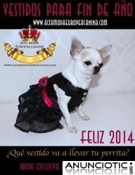 Que vestido llevara tu perrita en fin de a&ntilde;o?