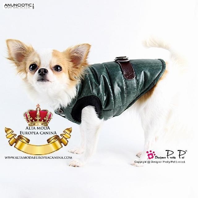 Ropa de Dise&ntilde;o para Perros.