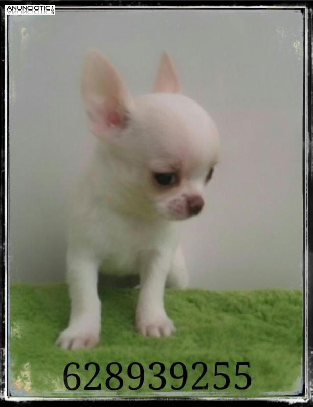 Ibiza madrid coru&ntilde;a barcelona