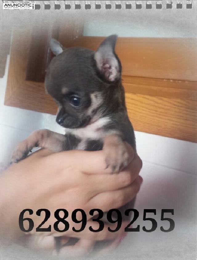 En miniatura ideales para t&iacute;