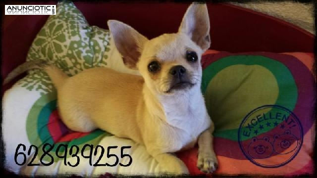 Cr&iacute;as selectivas y exclusivas