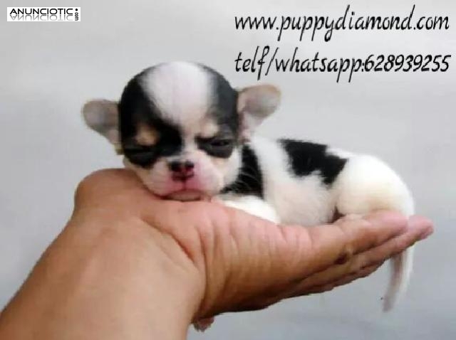 La mejor compa&ntilde;&iacute;a que tendr&aacute;s