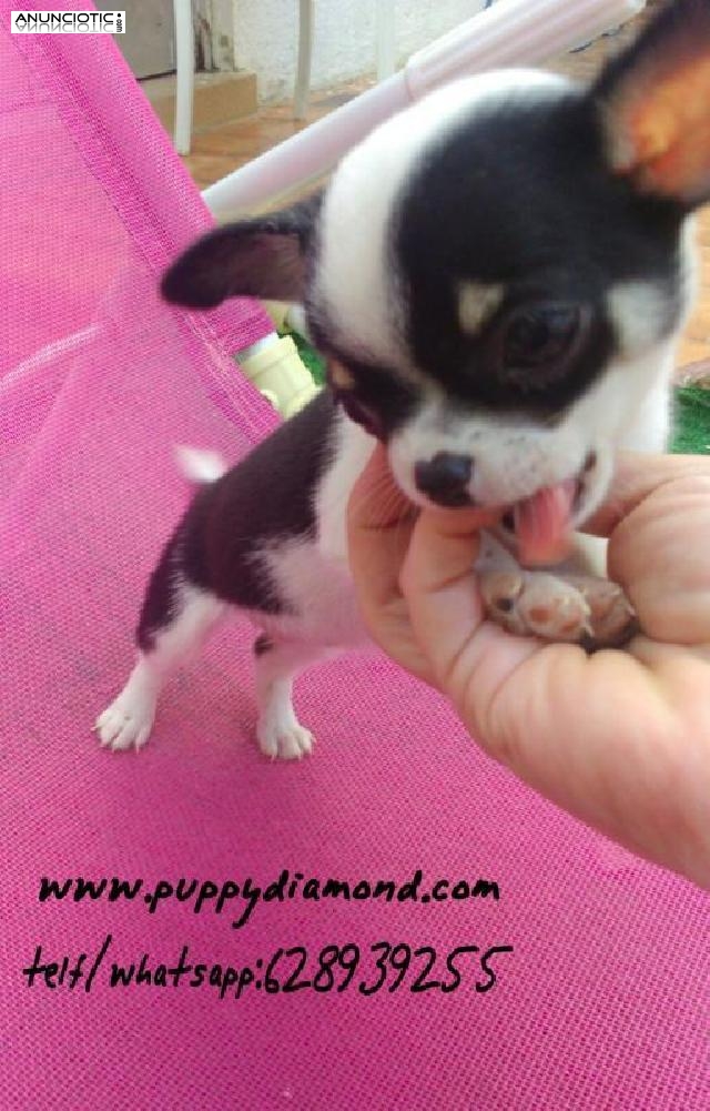 La mejor compa&ntilde;&iacute;a que tendr&aacute;s