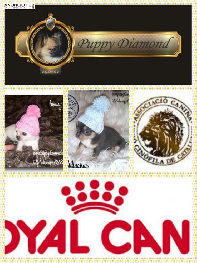 La mejor compa&ntilde;&iacute;a que tendr&aacute;s