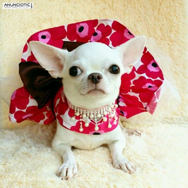 La mejor compa&ntilde;&iacute;a que tendr&aacute;s