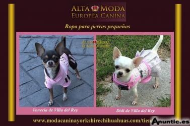 Ropa para perros peque&ntilde;os