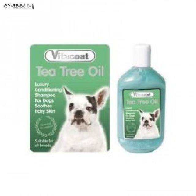 Tea tree oil champ&uacute; medicinal para perros 
