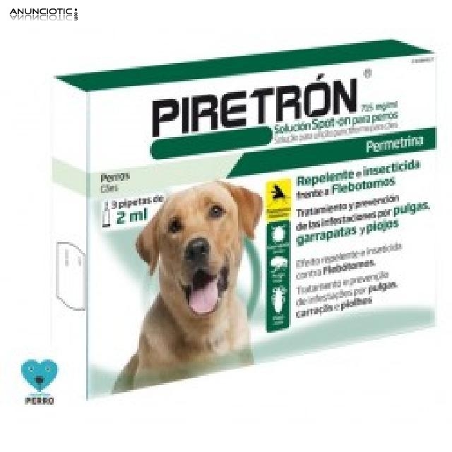 Piretr&oacute;n perros de mas de 15 kg 