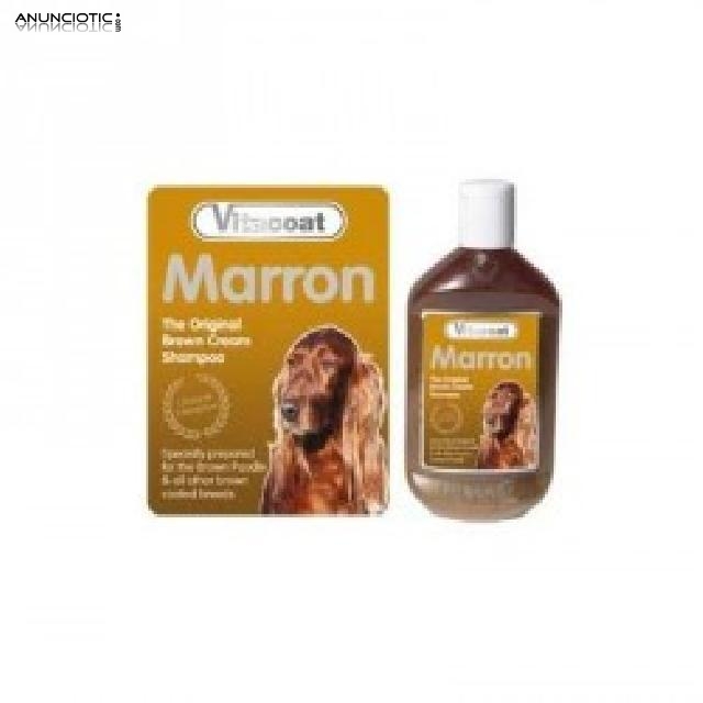 Champ&uacute; marr&oacute;n recomendado 