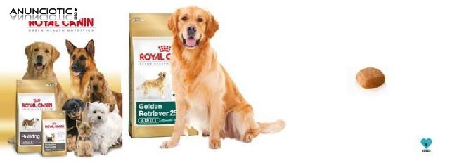 Oferton royal canin golden adulto12 kg 43 euros  