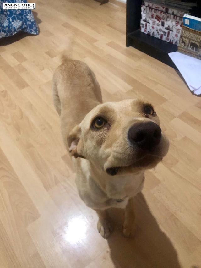 Adopci&oacute;n de Mora