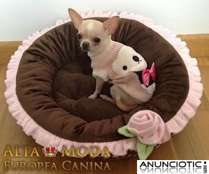 Jerseys para Perros, jerseys de dise&Atilde;&plusmn;o para perros