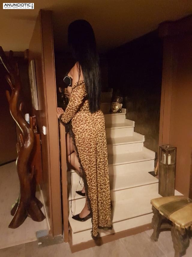 BRASILE&Ntilde;A TODOTERRENO.....TODOS LOS SERVICIOS