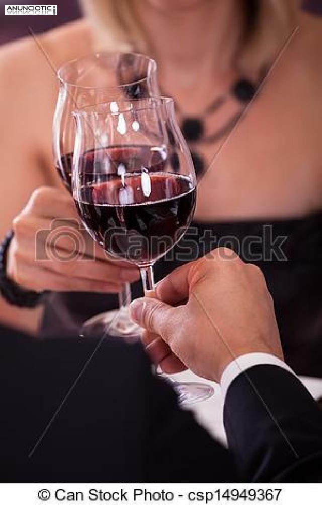 chics esort acompa&ntilde;antes 