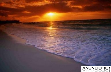 PROFESORA DE INGL&Eacute;S CARI&Ntilde;OSA