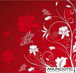 HABITACI&Oacute;N POR HORAS EN EL VALL&Eacute;S