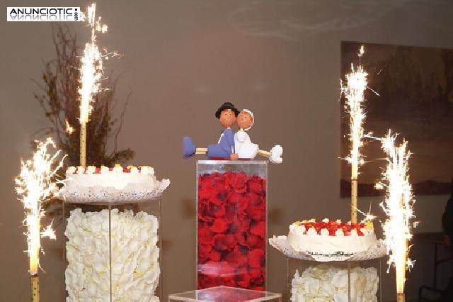 Fotografo economico para bodas comuniones Aviny&oacute; Nou