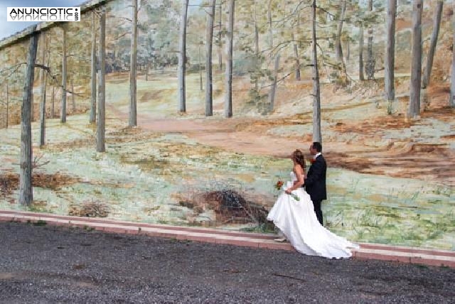 Fotografo economico para bodas comuniones Aviny&oacute; Nou