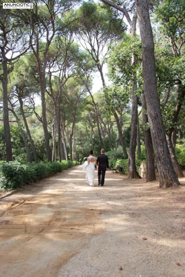 Fotografo economico para bodas comuniones Aviny&oacute; Nou