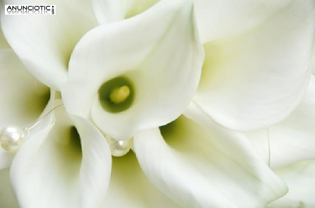 Fotografo economico para bodas comuniones Aviny&oacute; Nou