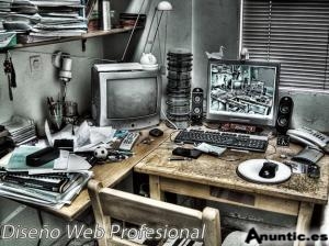 P&Aacute;GINAS WEB PROFESIONALES