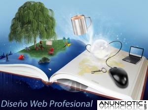 P&Aacute;GINAS WEB PROFESIONALES